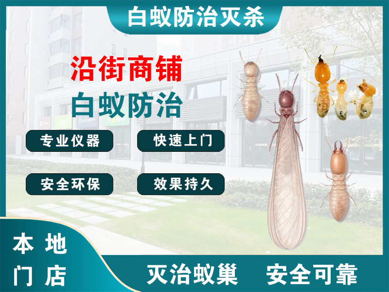 泗阳沿街商铺白蚁防治