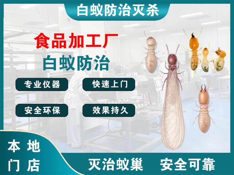 泗阳食品加工厂白蚁防治