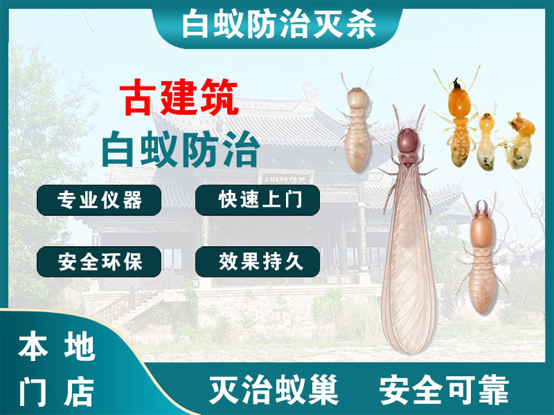 泗阳古建筑白蚁防治