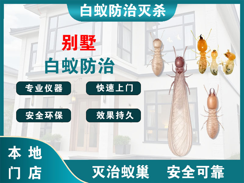 泗阳别墅白蚁防治